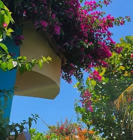 Alsol Don Palomon Apartment Playa del Ingles (Gran Canaria)