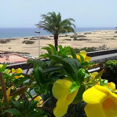 Apartament Alsol Don Palomon Playa del Inglés