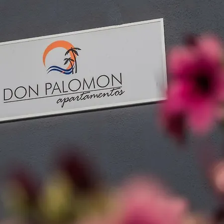 Alsol Don Palomon Lejlighed Playa del Inglés